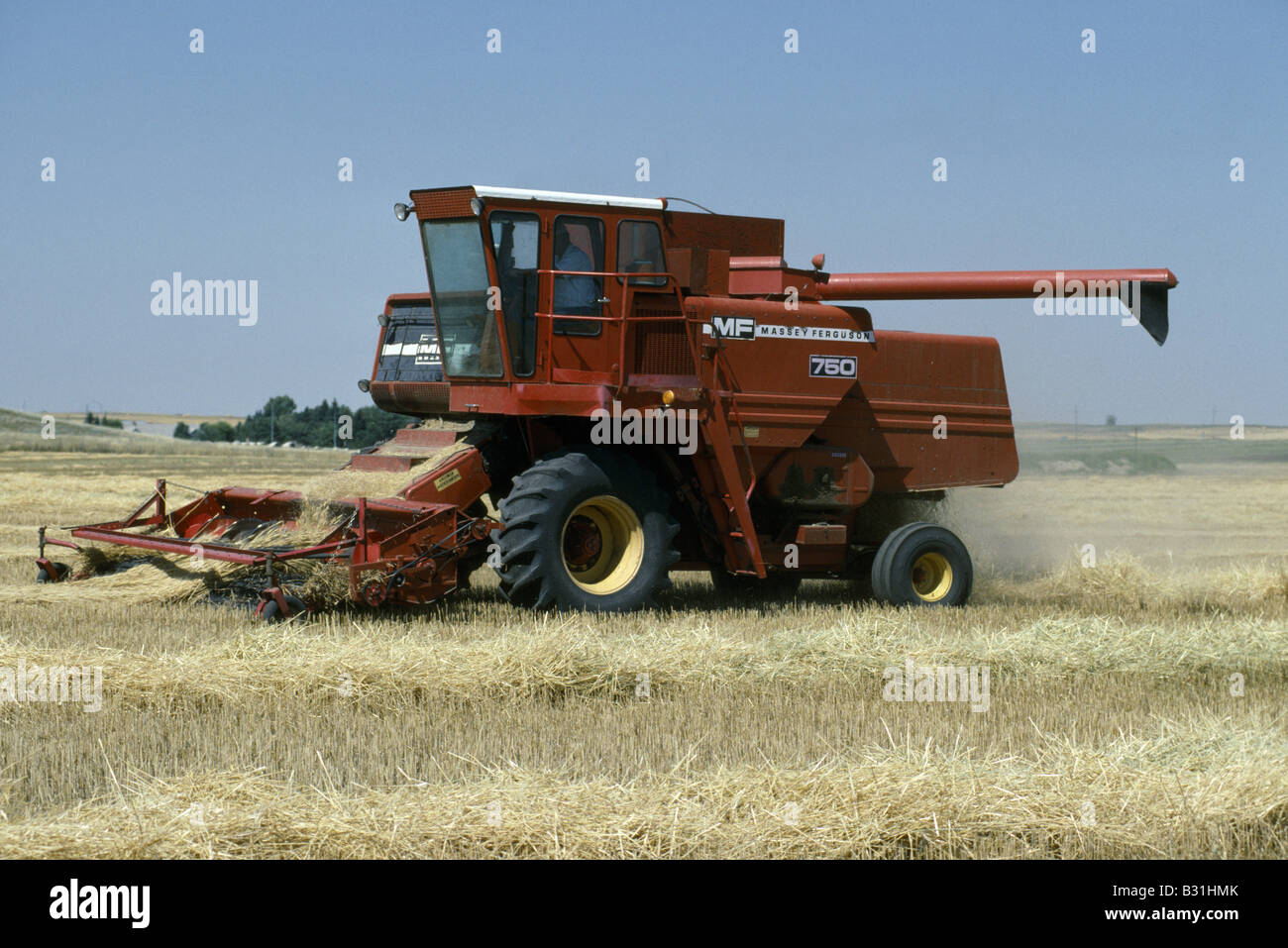 JOHN DEERE AND MASSEY FERGUSON COMBINES UNLOADING WHEAT INTO FIELD