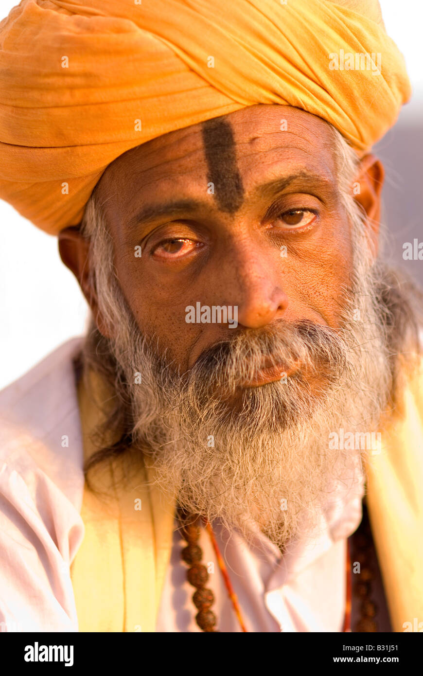 Portrait of Holy Man (Sadhu), Pushkar, Rajasthan, India, Subcontinent, Asia Stock Photo