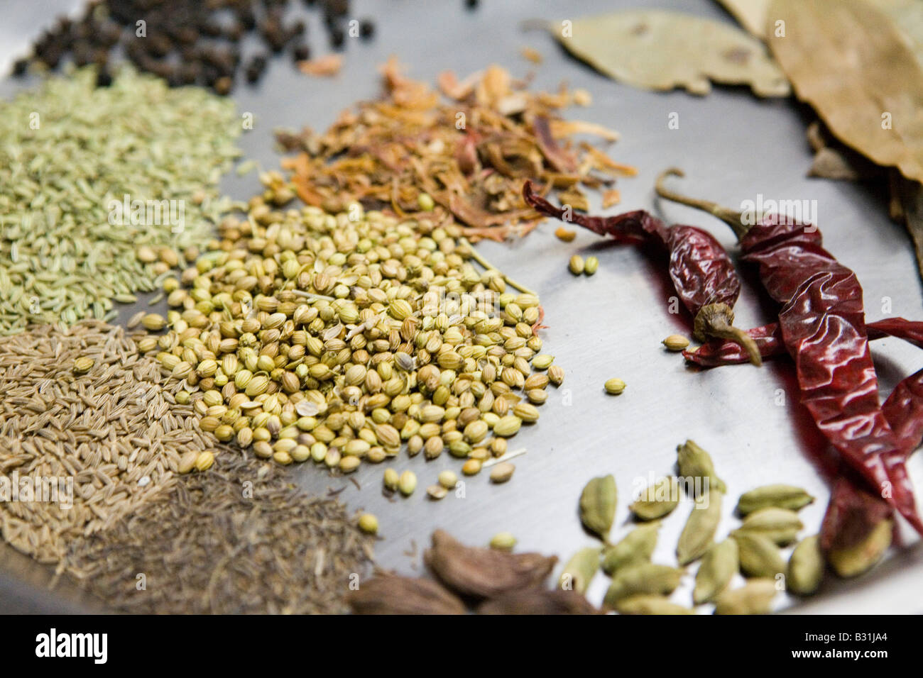 Aluminium tray of spices used in Indian cooking Stock Photo Alamy