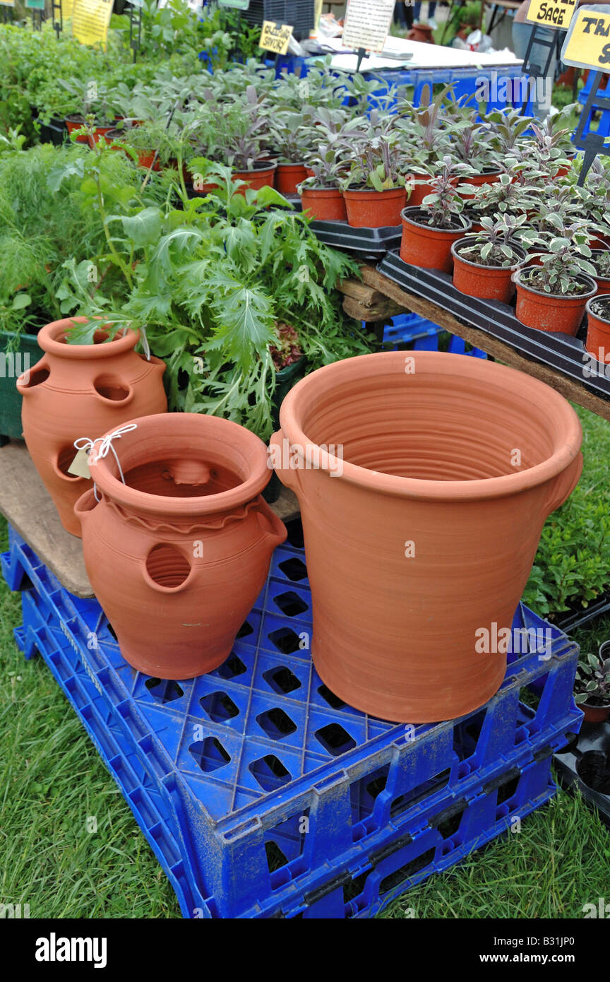 https://c8.alamy.com/comp/B31JP0/terracotta-pots-and-plants-for-sale-on-stall-at-camden-green-fair-B31JP0.jpg