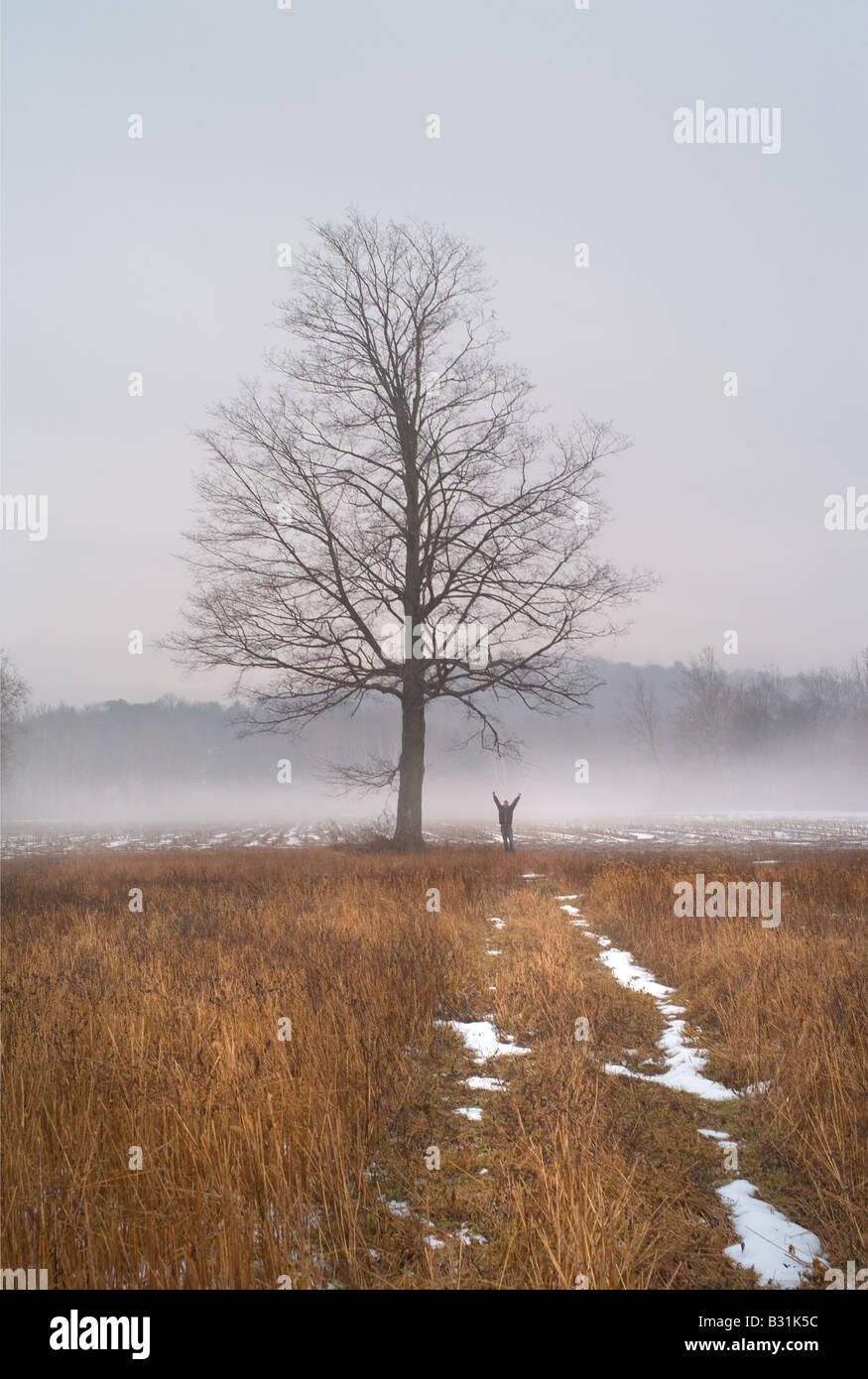 Figure raises arms with joy in a misty landscape with ethereal tree Stock Photo
