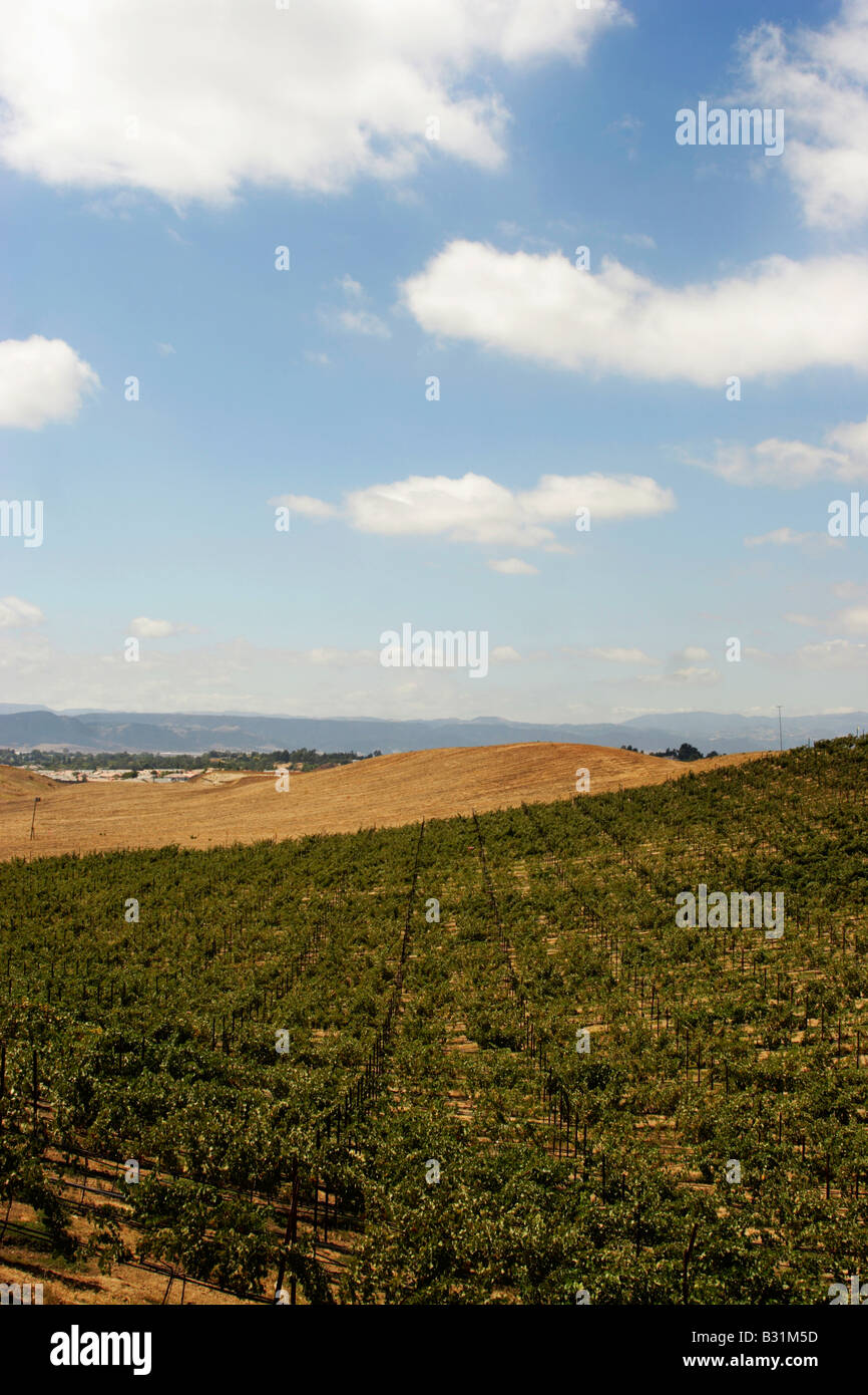 Temecula wine country Stock Photo Alamy