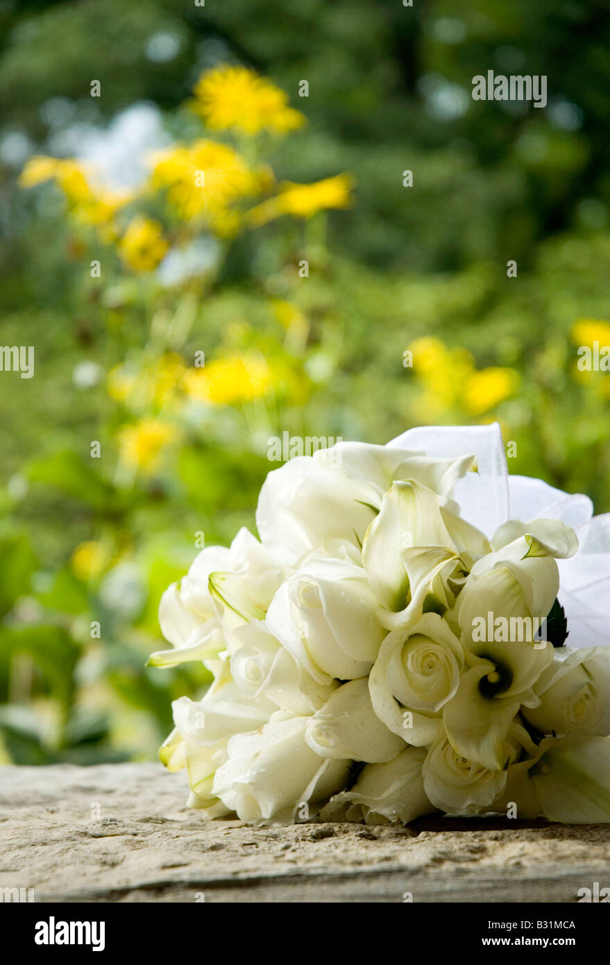 beautiful bouquet of roses Stock Photo - Alamy