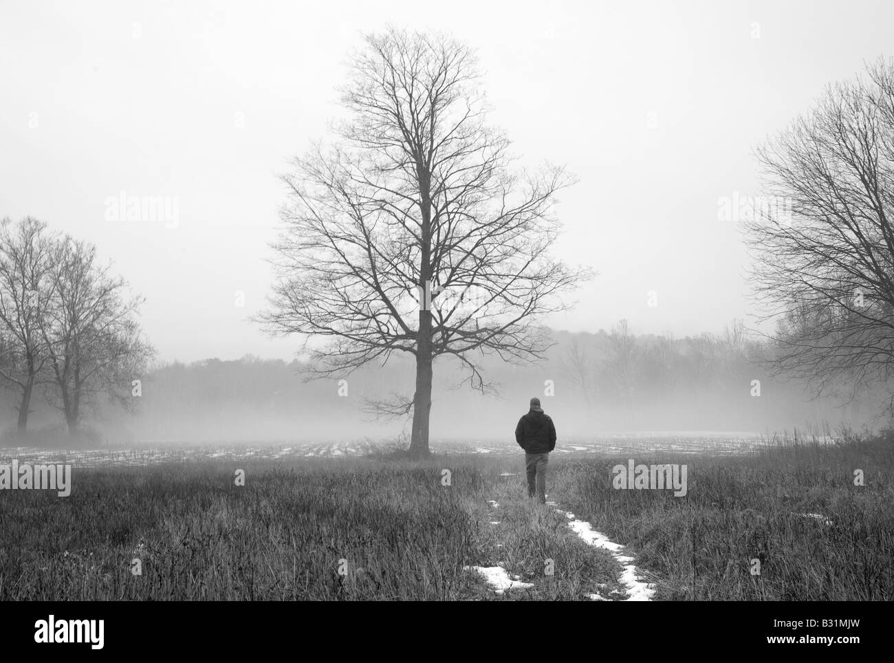Mysterious figure walks through a misty landscape with ethereal tree Stock Photo