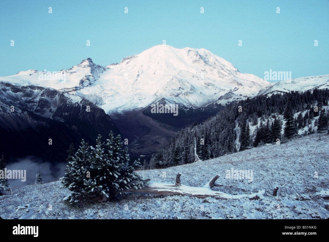 Mt Rainier National Park Mountain Sunrise Side in Snow Ashford