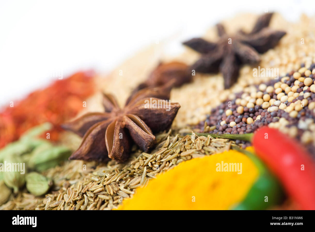 Star anise on Indian cooking spices against a white background Stock