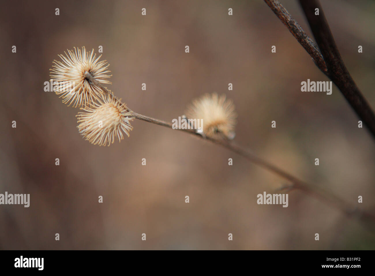 Kettle moraine state forest hires stock photography and images Alamy