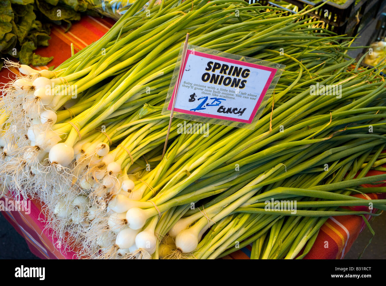 Onions Farmer s Market West Seattle Washington USA Stock Photo