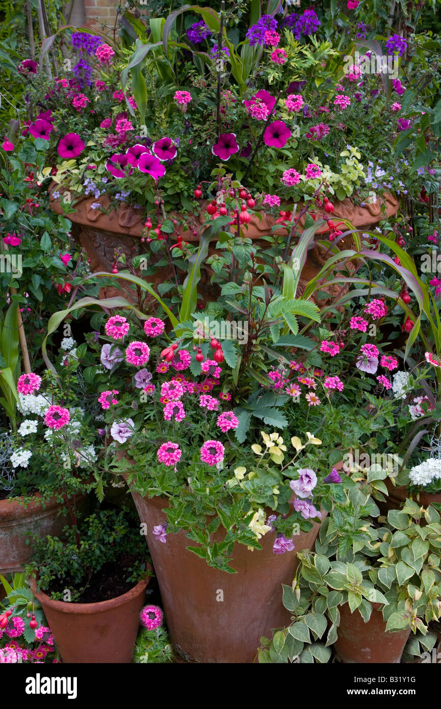 Floral Container Display in Norfolk Garden Stock Photo