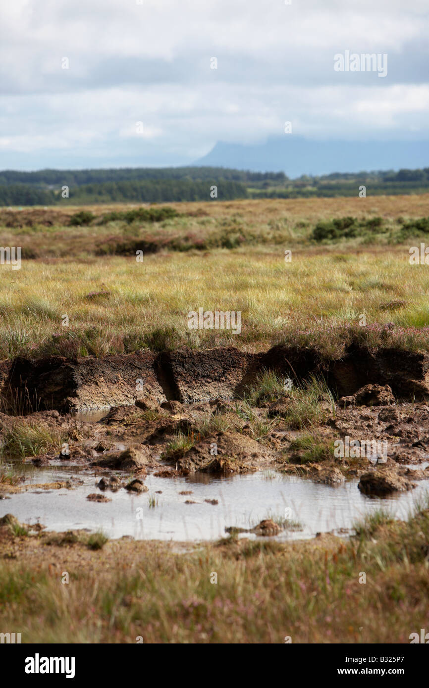 blanket bog with seams cut in it for turf peat fuel collection in easkey county sligo republic of ireland Stock Photo