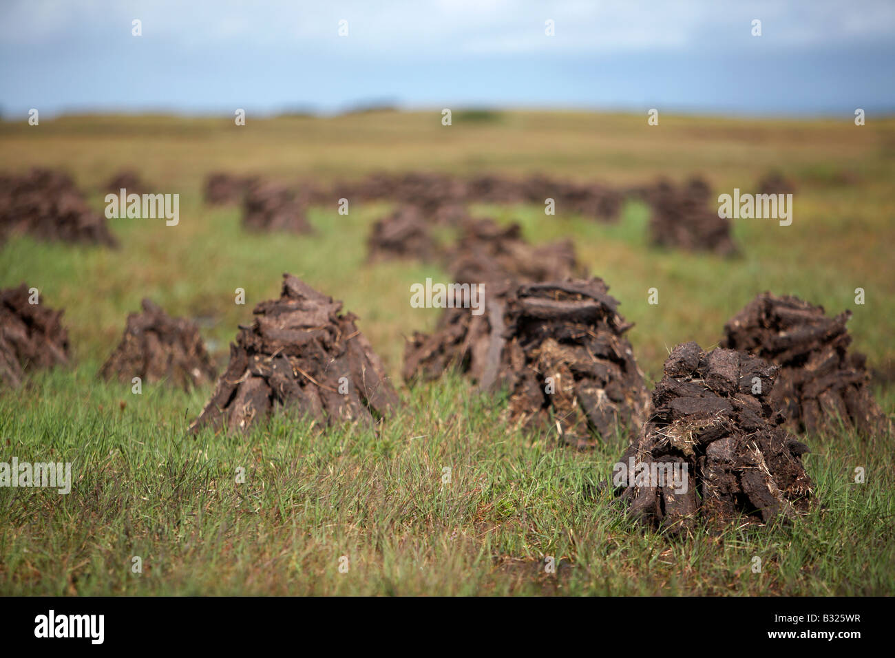 Peat turf hi-res stock photography and images - Alamy