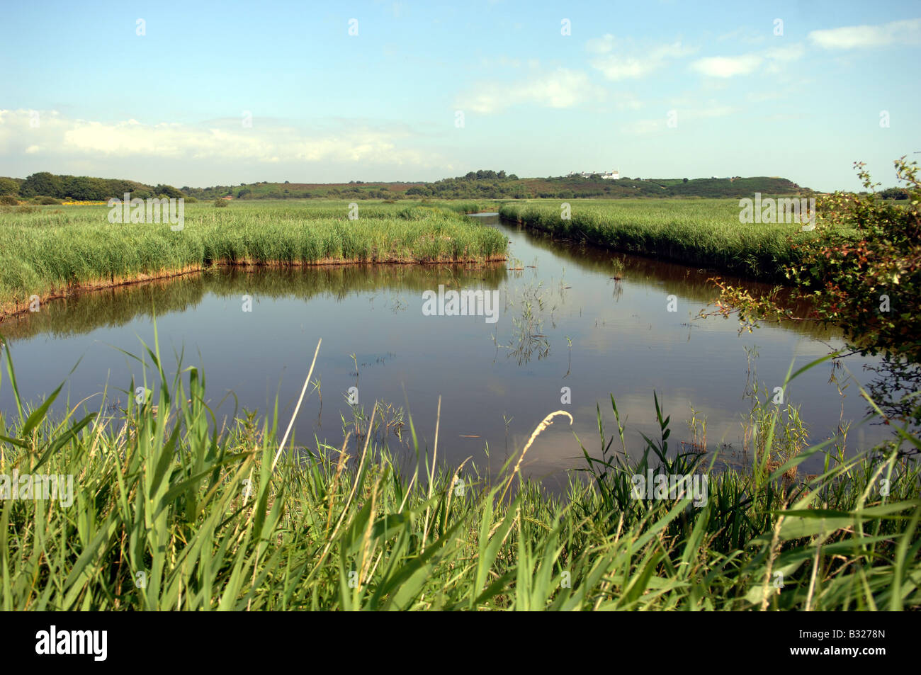 The RSPB reserve at Minsmere in Suffolk UK Stock Photo