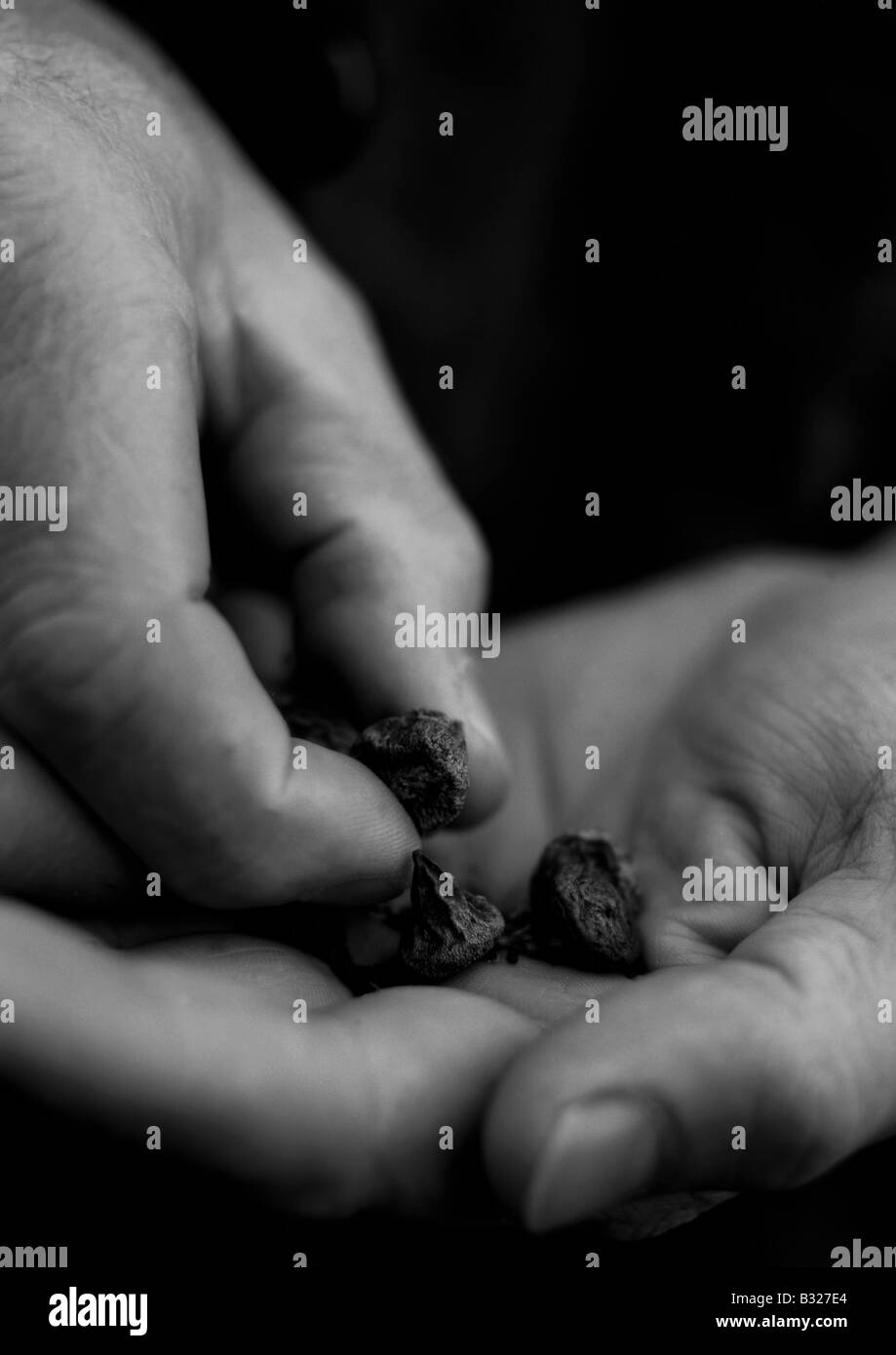 Big seeds Black and White Stock Photos & Images - Alamy
