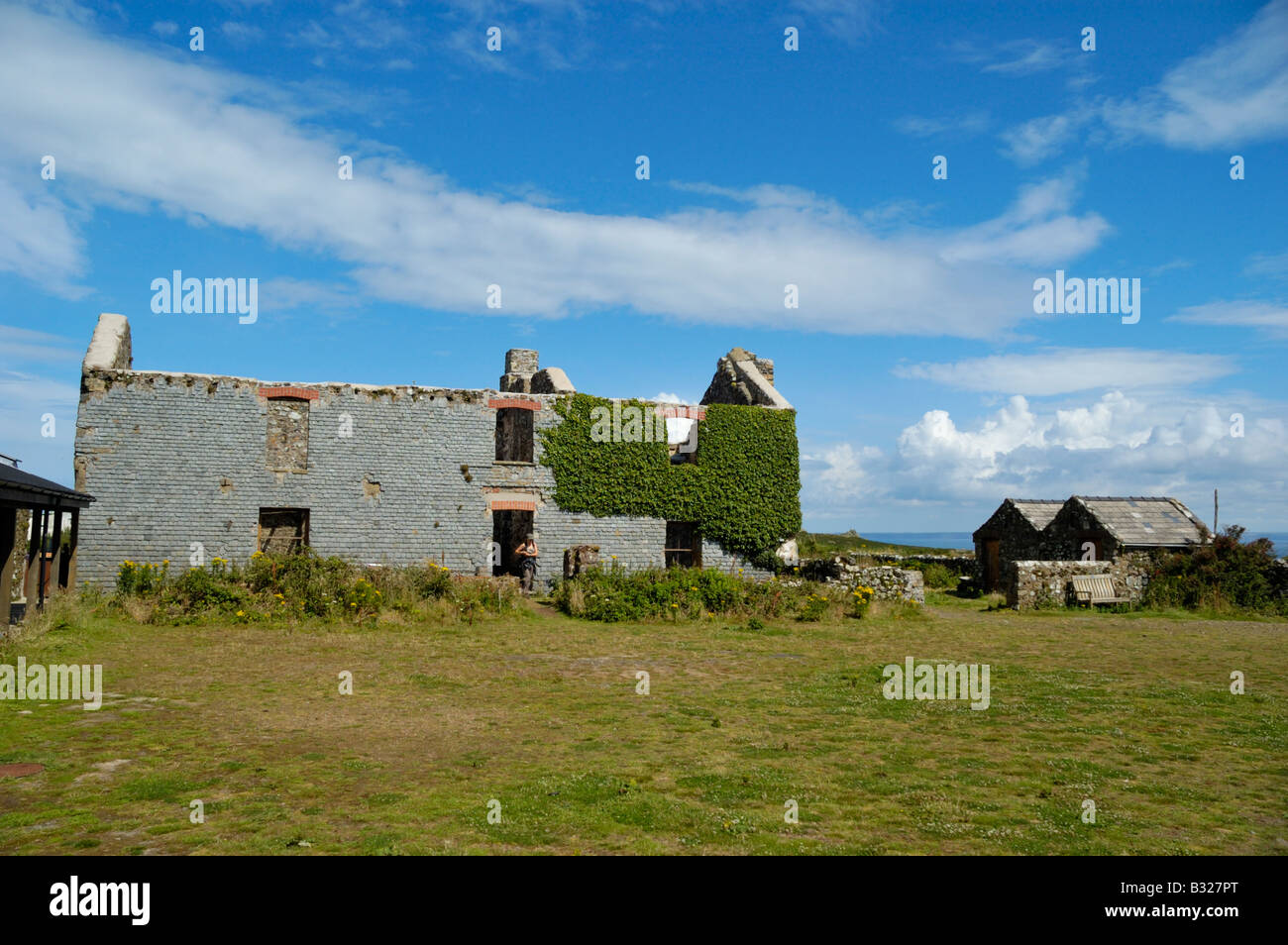 Ivy covered farm house on Skomer Island, Pembrokeshire, Wales Stock Photo