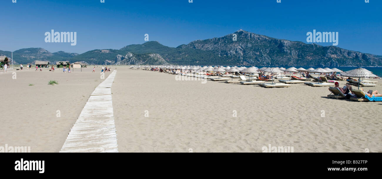 Turtle Beach in Ortaca District Muğla Turkey Stock Photo - Alamy