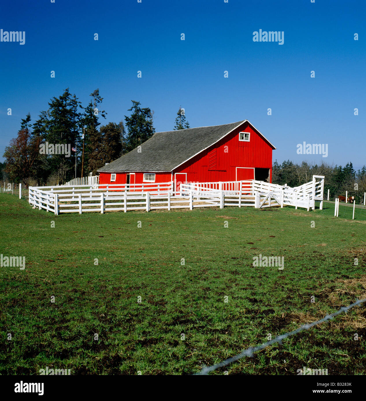 Charles bright hi-res stock photography and images - Alamy