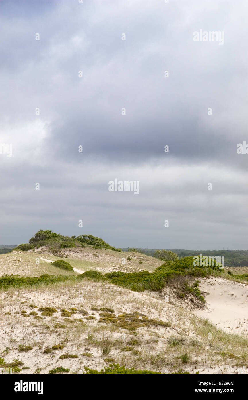 Duens at 'Sandy Neck' on Cape Cod Stock Photo