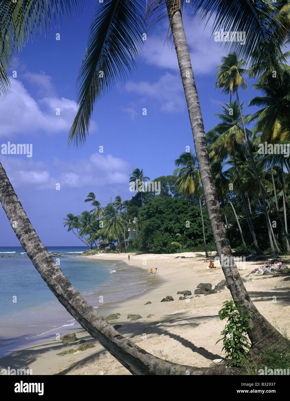 Gibbs beach Palm trees Beach sand Clear calm water Two swimmers people on sand MULLINS BAY WEST COAST BARBADOS Stock Photo