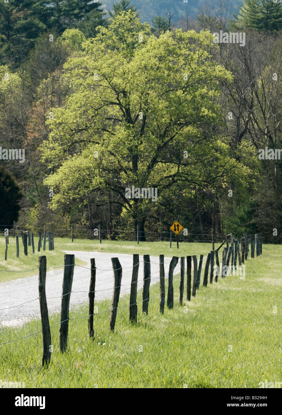 Parsons Branch Road in Cades Cove Great Smoky Mountains National Park