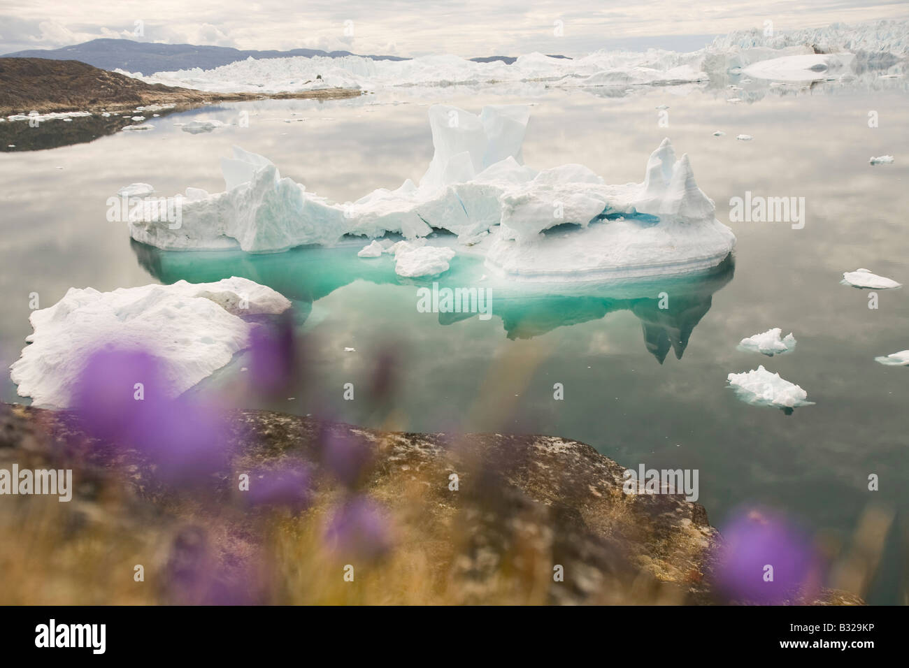 Icebergs in the Ilulissat ice fjord in Greenland Stock Photo