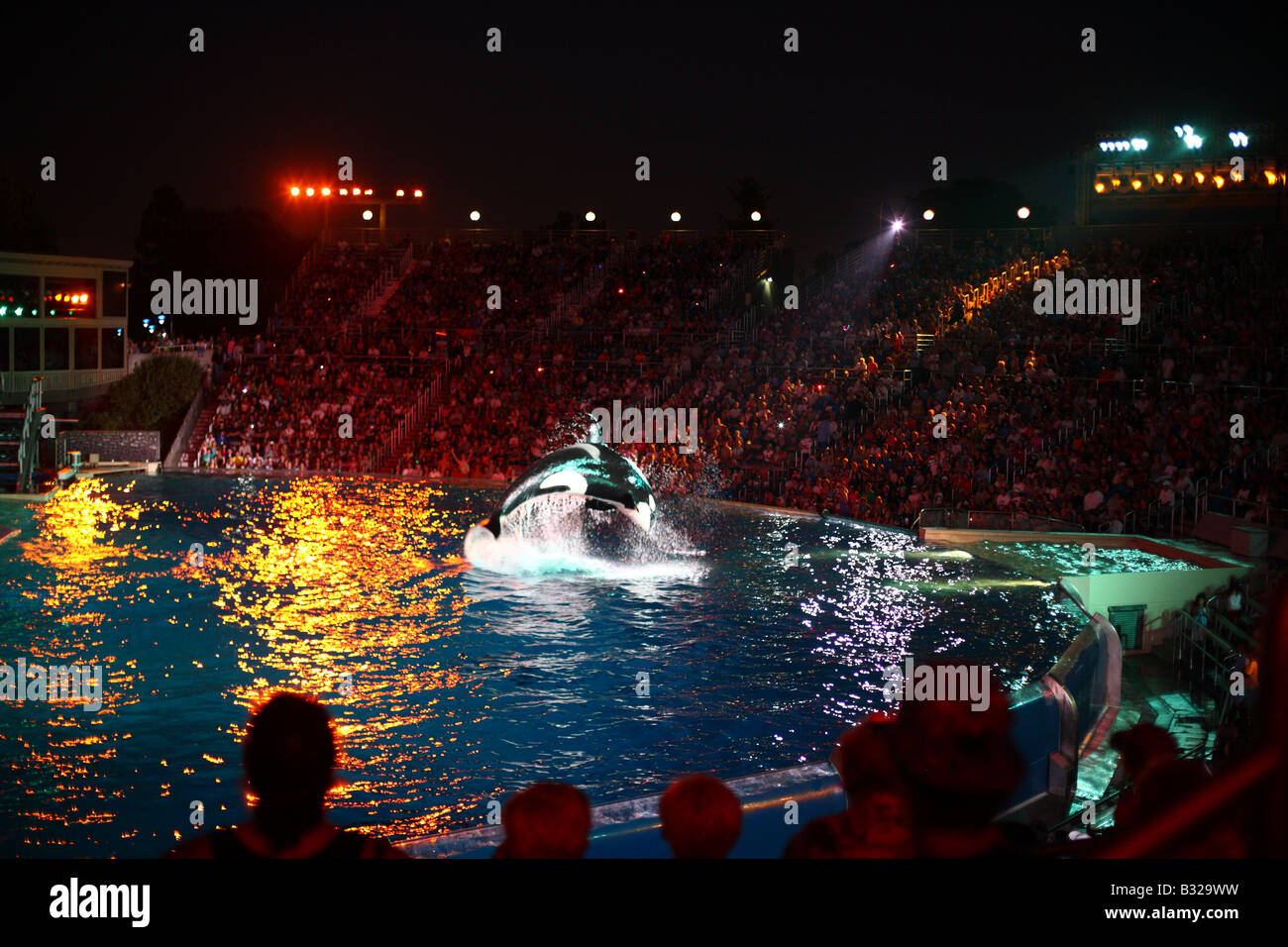 Night orca show at Sea World in San Diego California Stock Photo