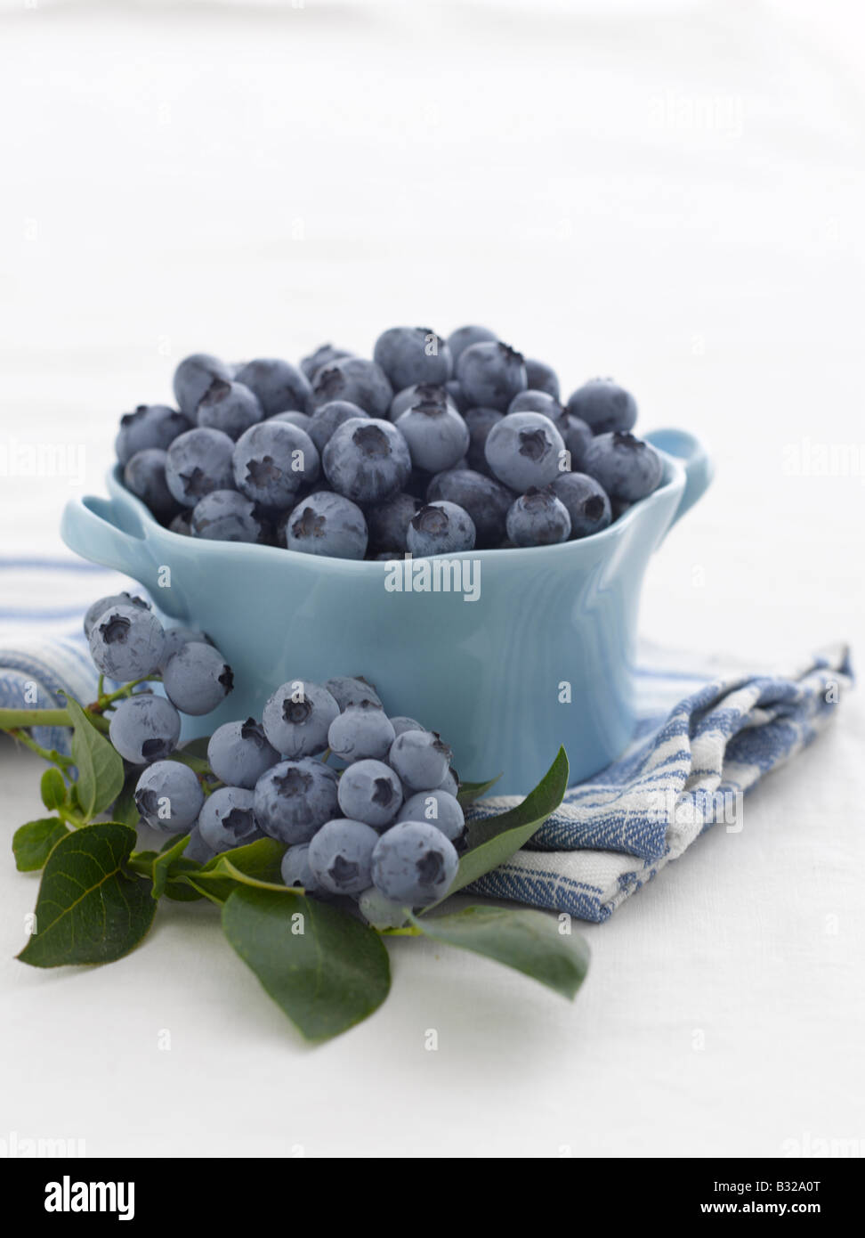 Fresh blueberries and blueberry stem Stock Photo Alamy