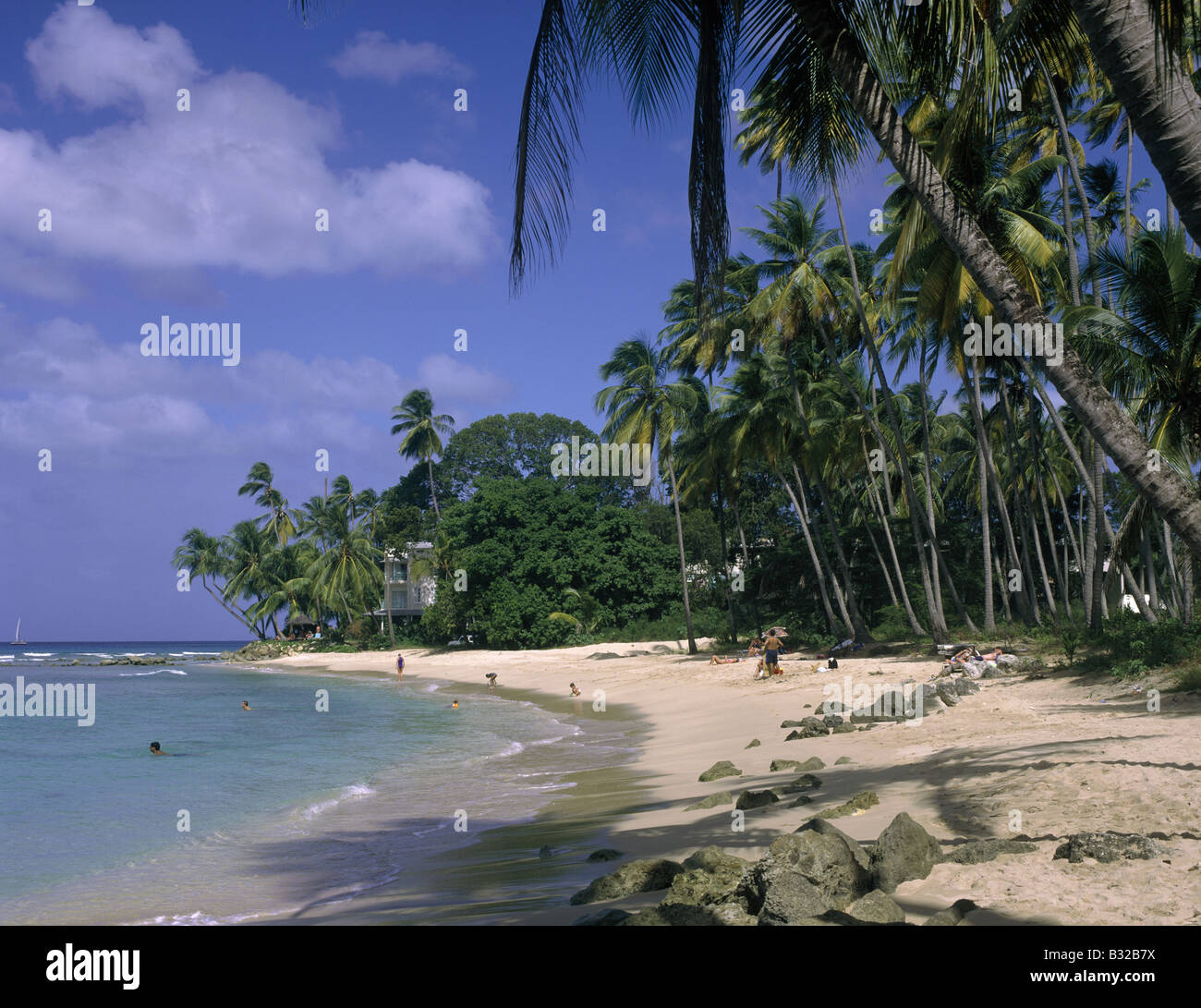 Gibbs beach Palm trees Beach sand Clear calm water Two swimmers people