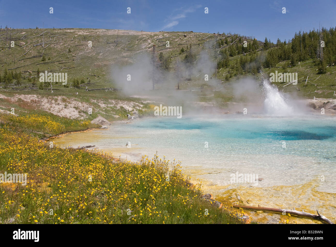 IMPERIAL GEYSER erupts into a small pool in the LOWER IMPERIAL BASIN YELLOWSTONE NATIONAL PARK WYOMING Stock Photo