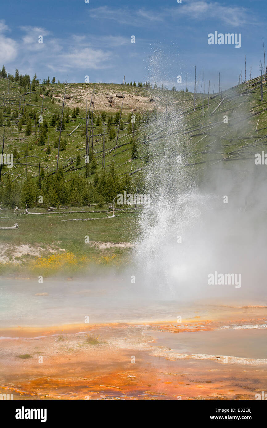 IMPERIAL GEYSER erupts into a small pool in the LOWER IMPERIAL BASIN YELLOWSTONE NATIONAL PARK WYOMING Stock Photo