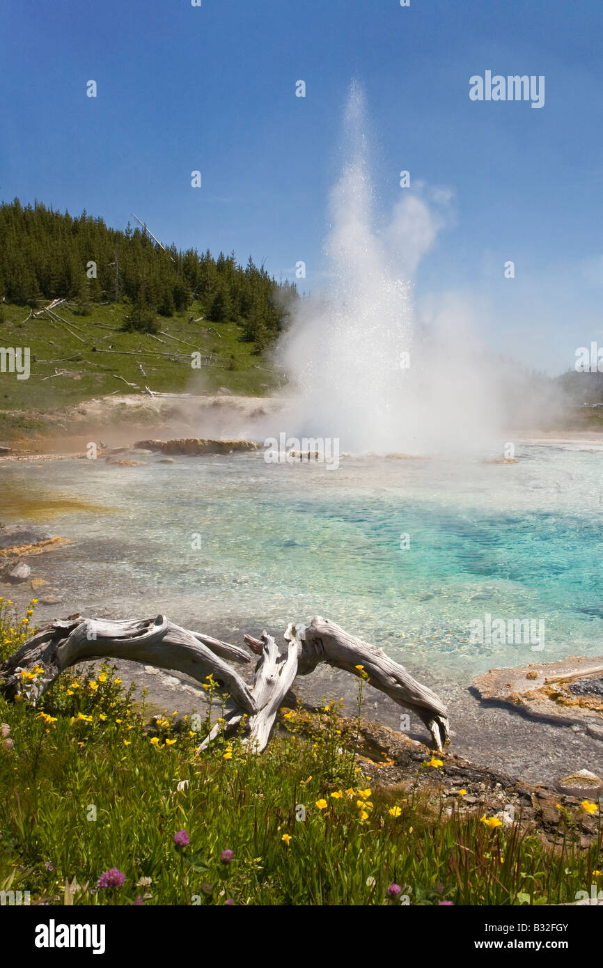 IMPERIAL GEYSER erupts into a small pool in the LOWER IMPERIAL BASIN YELLOWSTONE NATIONAL PARK WYOMING Stock Photo