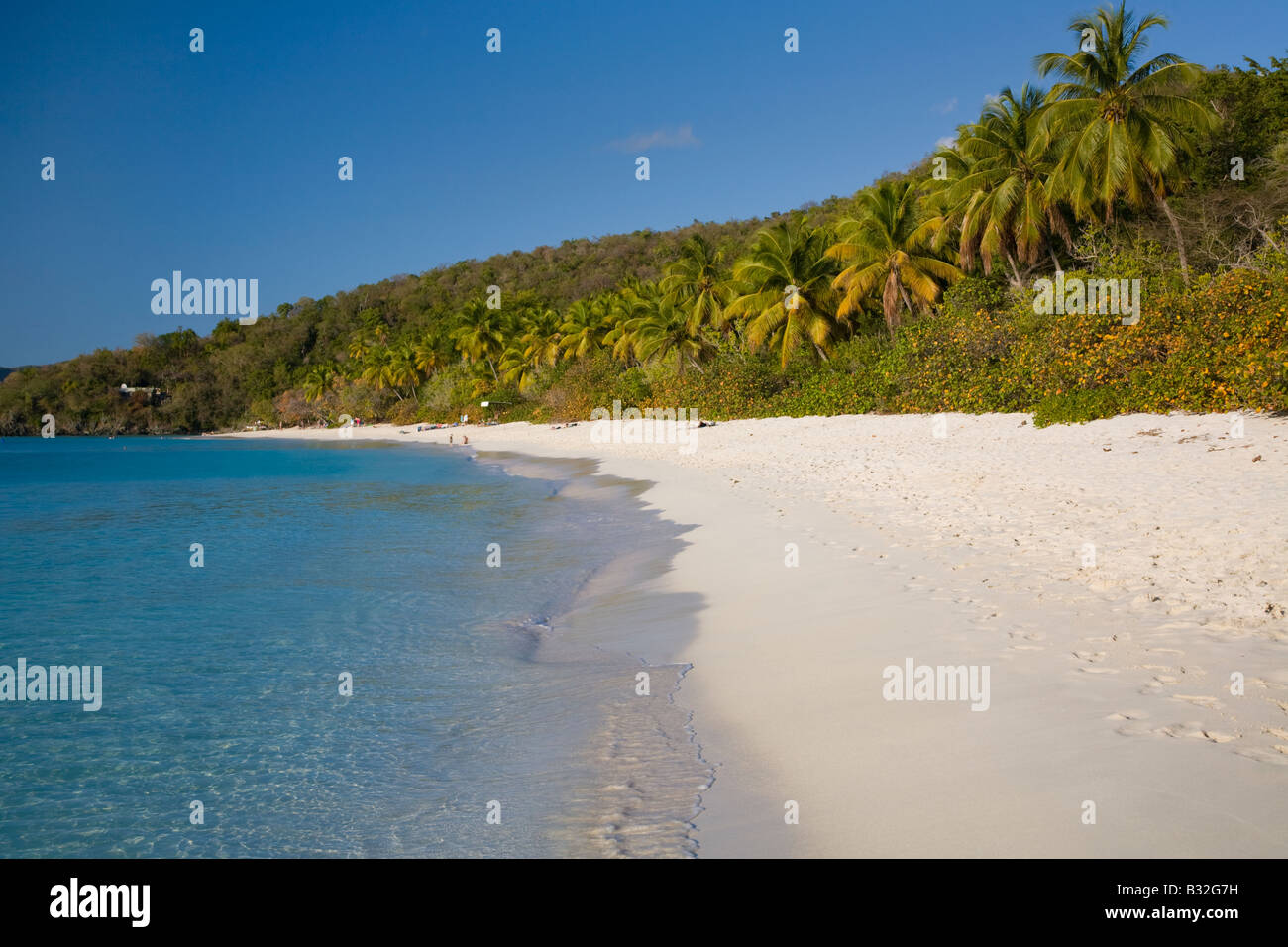 Trunk Bay Beach in the Virgin Islands National Park on the caribbean