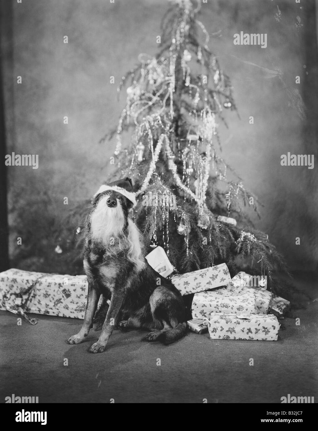 Portrait christmas gifts Black and White Stock Photos & Images - Alamy