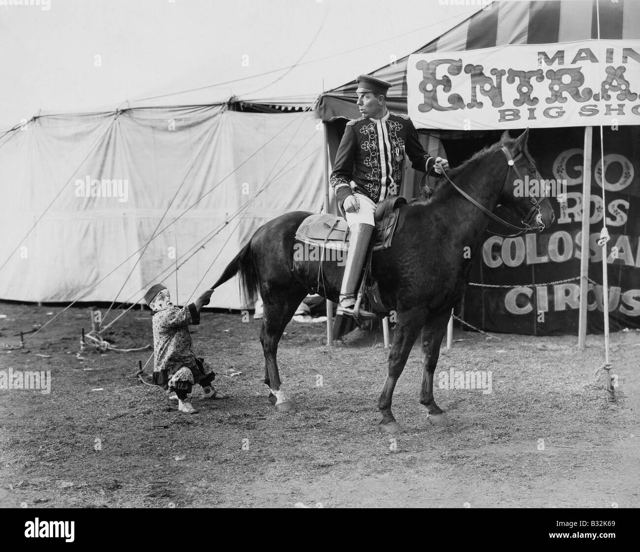 Circus performer pulling horses tail Stock Photo Alamy