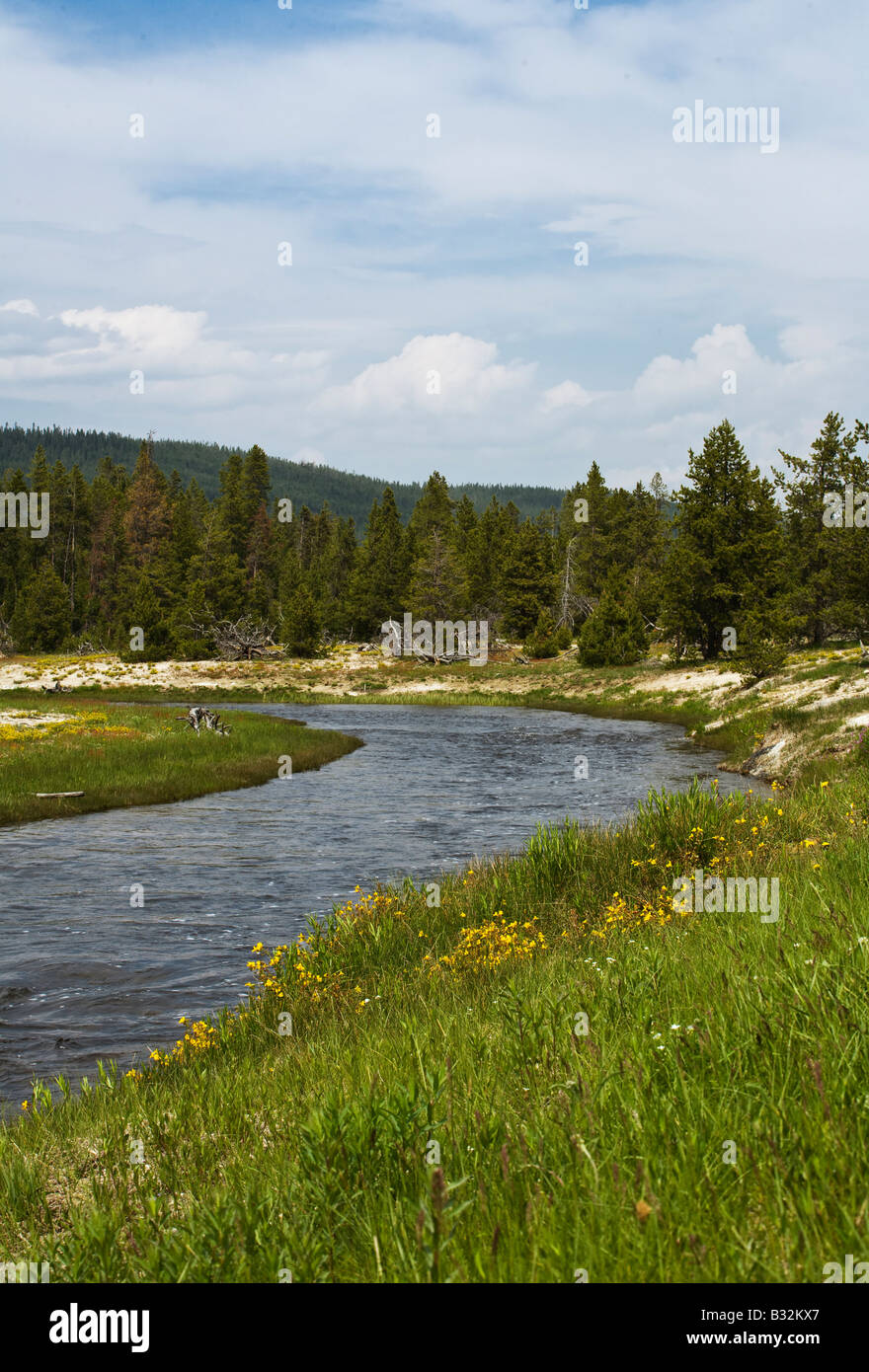 The NEZ PERCE CREEK flows through the middle of YELLOWSTONE NATIONAL PARK WYOMING Stock Photo