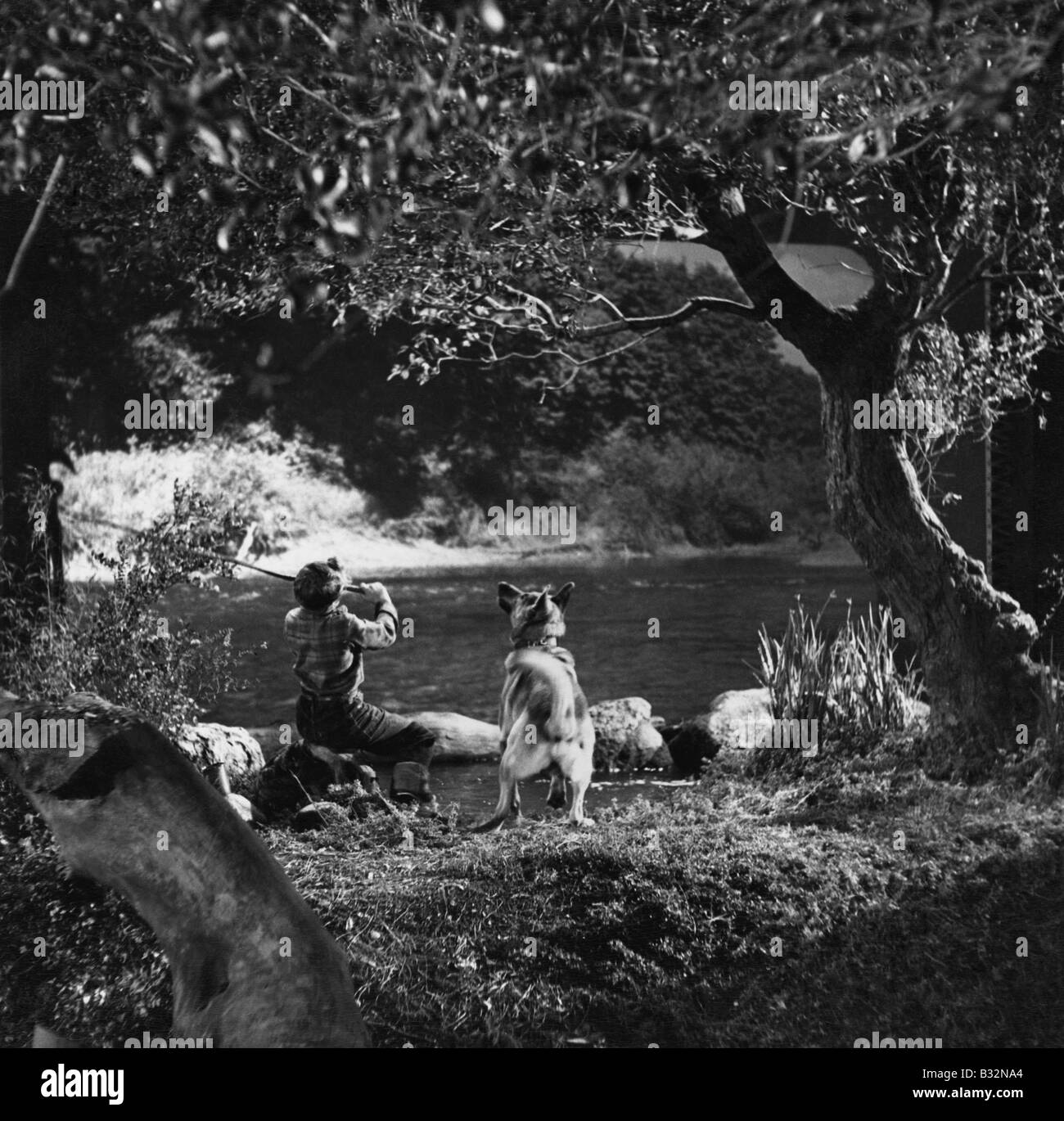 Boy fishing with dog in river Stock Photo