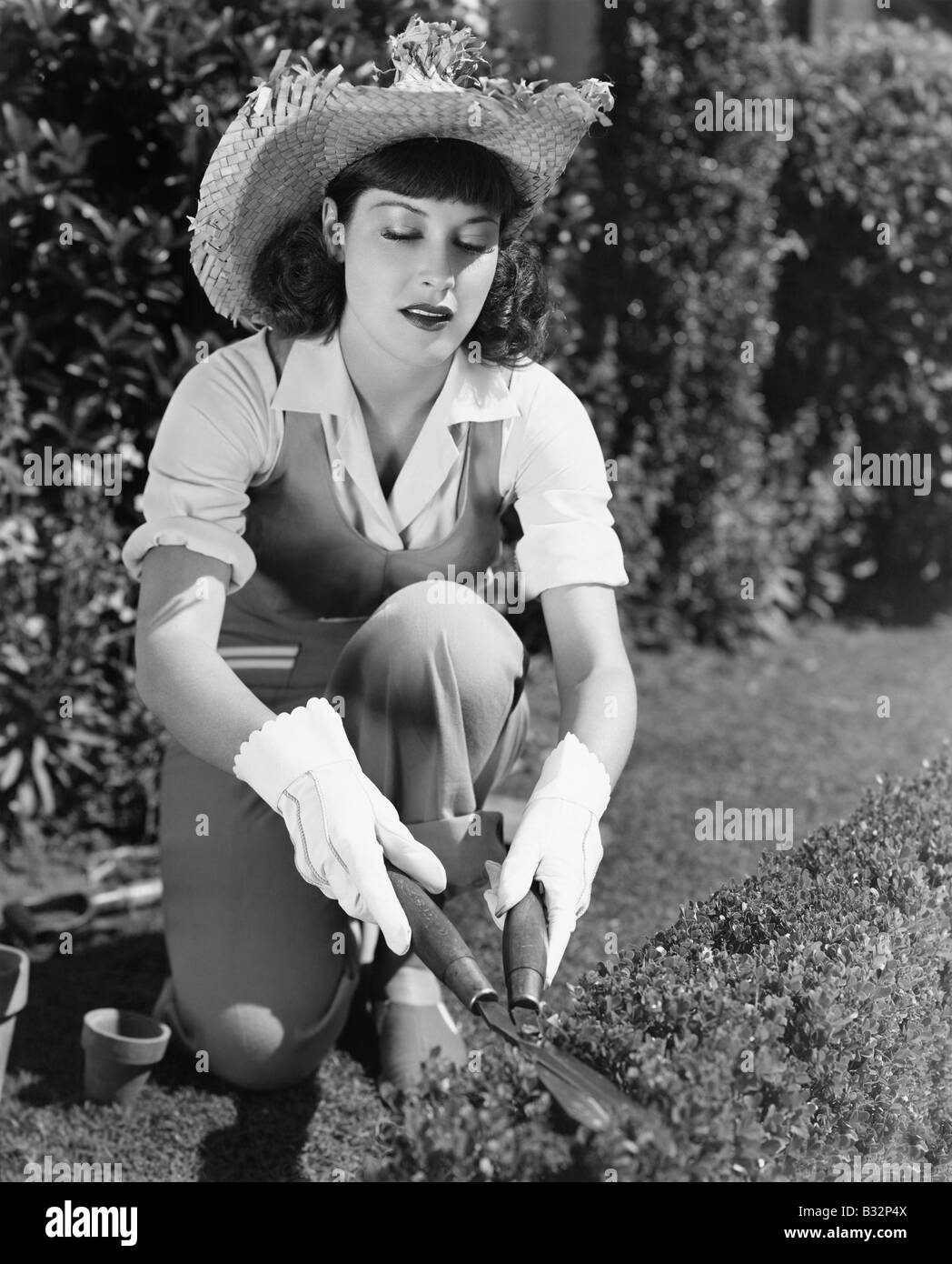 Woman trimming hedge Stock Photo