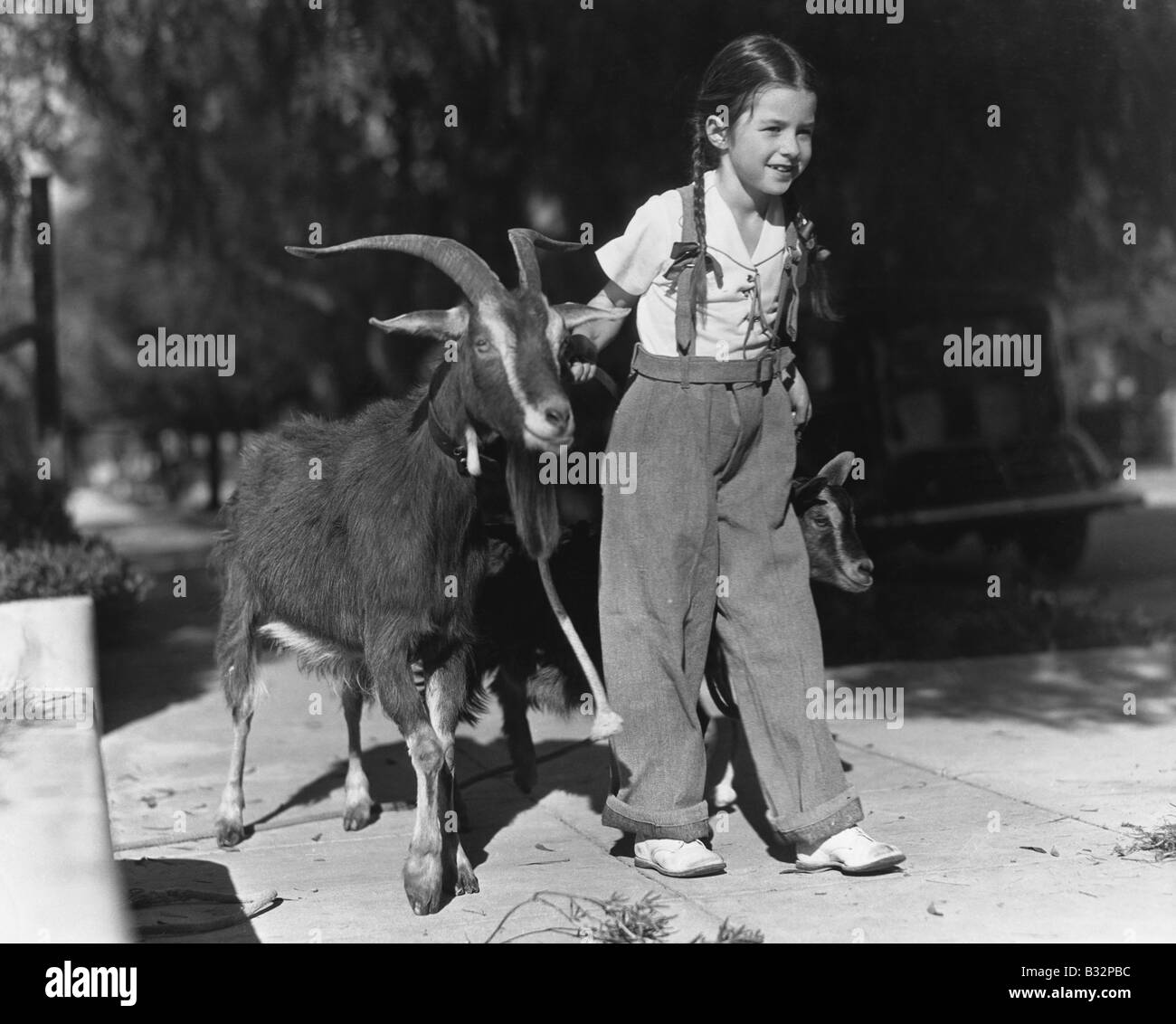 Girl leading two goats Stock Photo