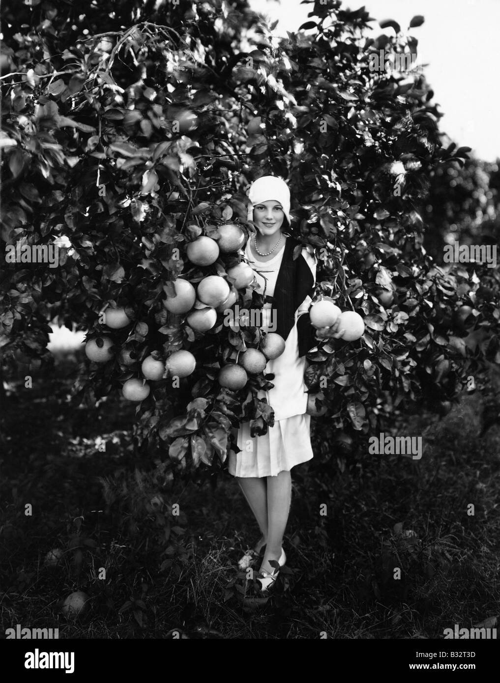 Portrait of a young woman holding grapefruits and standing in an orchard Stock Photo