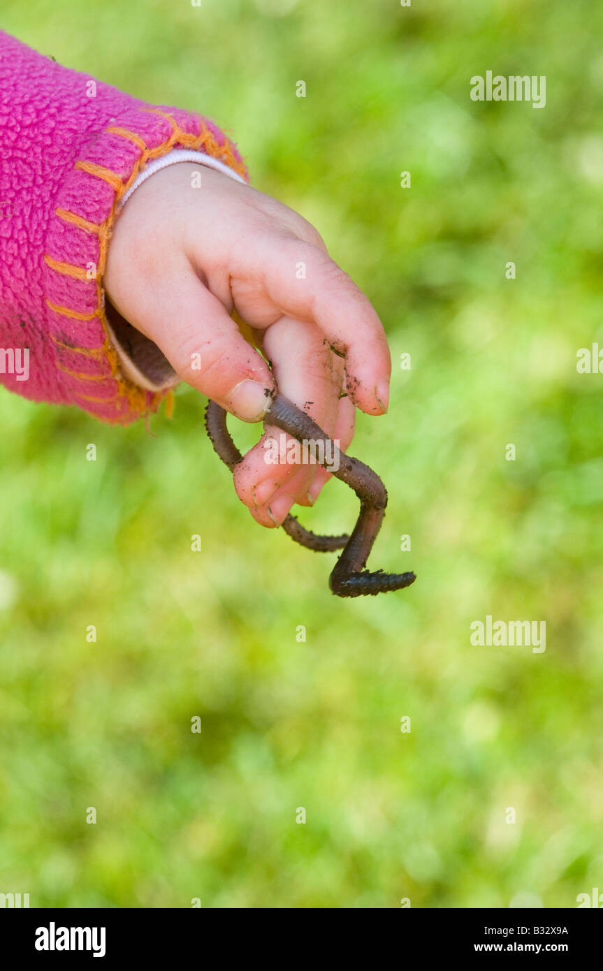 Toddler holding earthworm in garden Norfolk spring Stock Photo