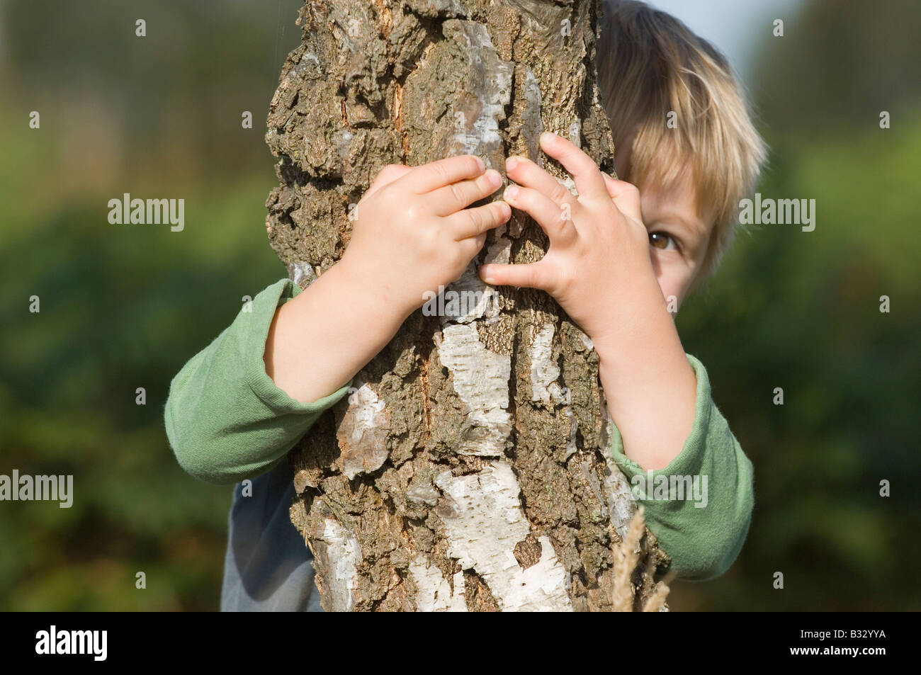Toddler playing peek a boo behind tree Stock Photo