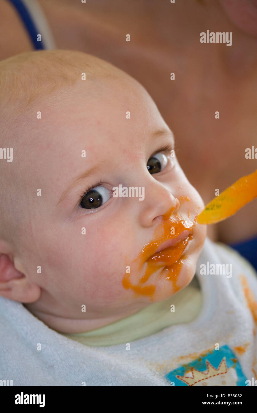 baby eats carrot mash Stock Photo Alamy