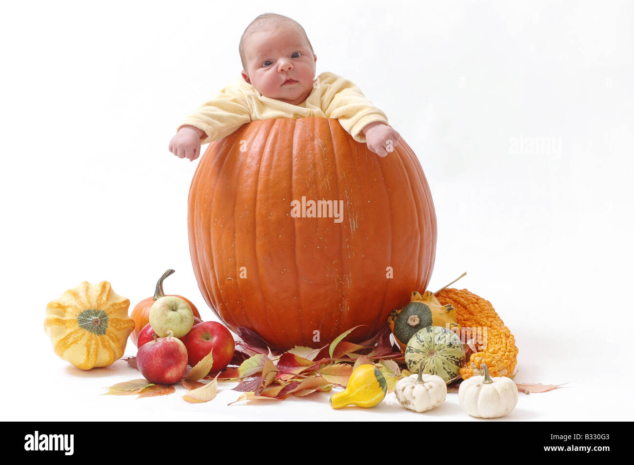 Baby in pumpkin Stock Photo
