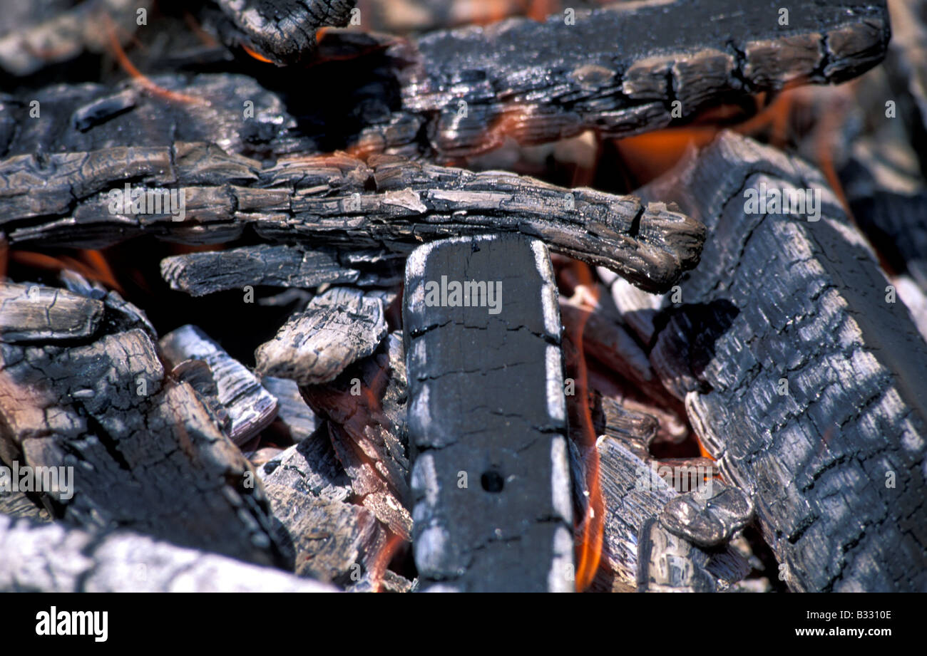 Fire, burning wood Stock Photo Alamy
