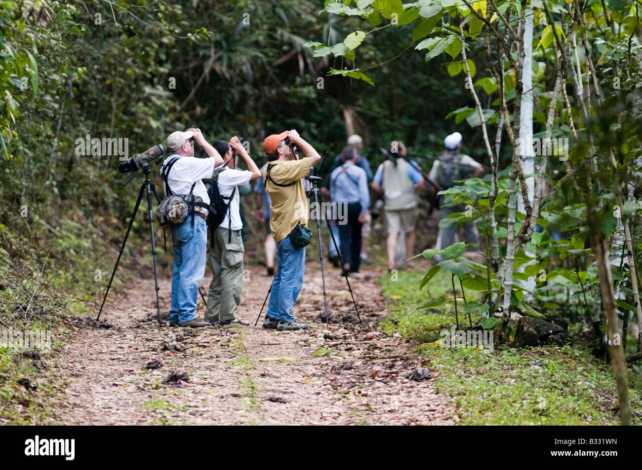 Birding group on trail in lowland tropical rainforest Peten Guatemala Stock Photo