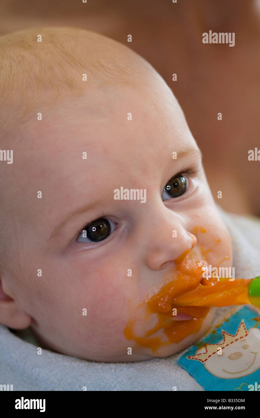 baby eats carrot mash Stock Photo Alamy