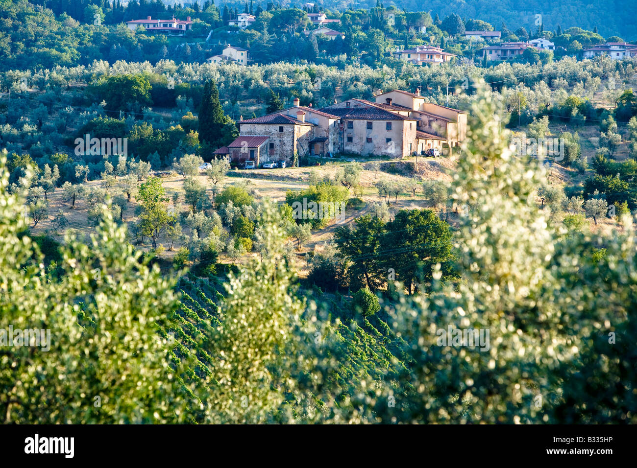 Houses vineyards and landscape Tuscany Italy Stock Photo - Alamy