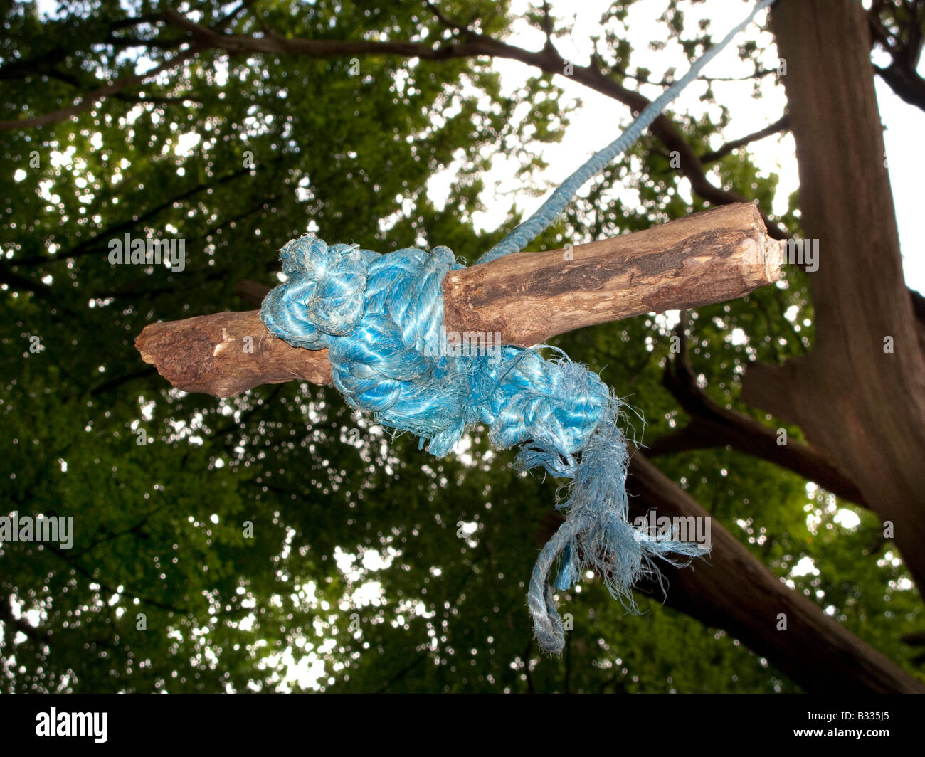 A rope swing hanging from a tree Stock Photo - Alamy