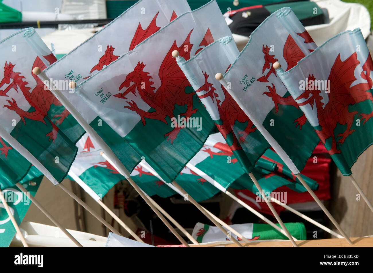 small hand held welsh flags for sale at National Eisteddfod of Wales