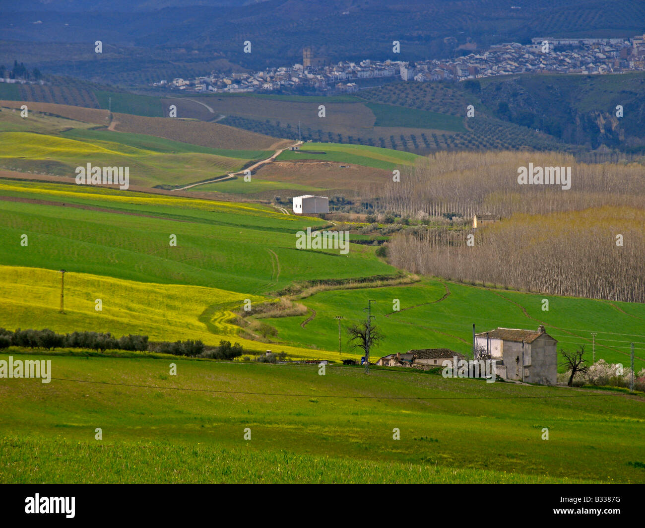 Scrawnier High Resolution Stock Photography and Images - Alamy