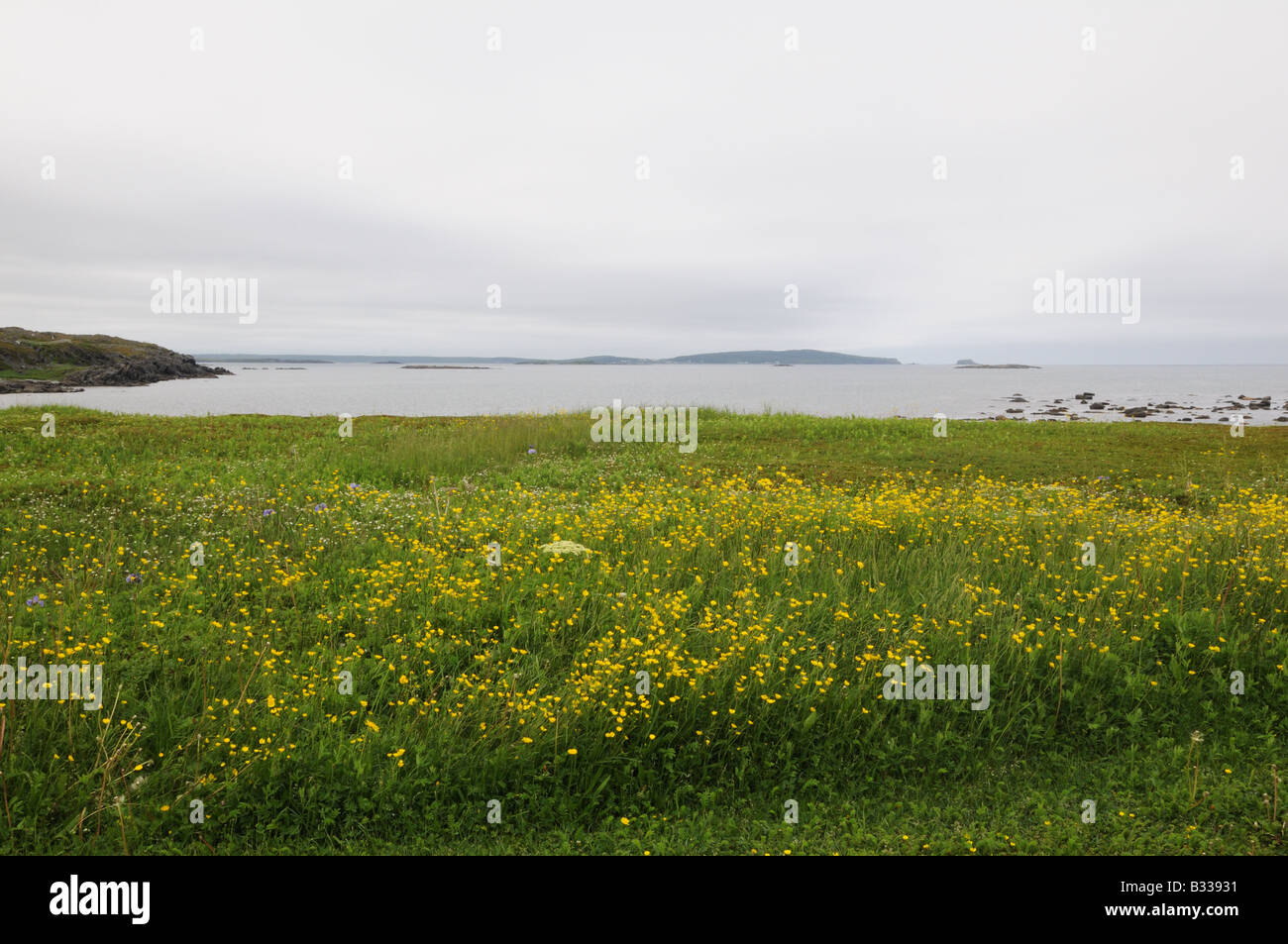 L’anse aux meadows newfoundland hi-res stock photography and images - Alamy